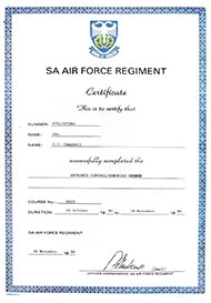 South African Air Force, 1990 South African Air Force, 1990