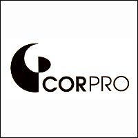 corporate professionals inc