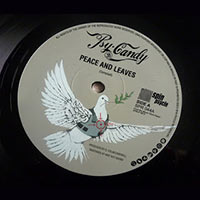 police and thieves [psycandy]