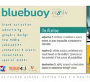 bluebuoy